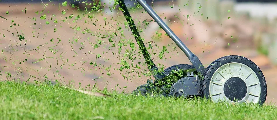 How to Give Your Lawn a Makeover